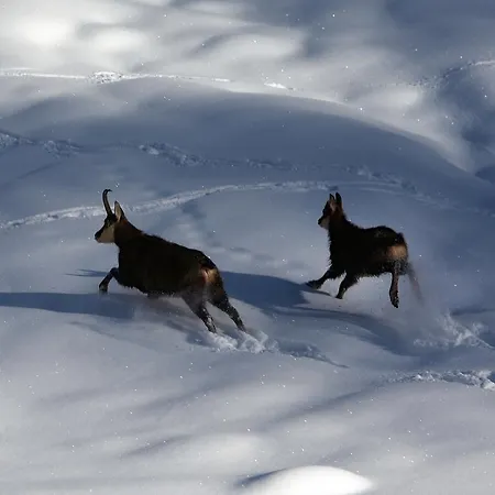 Maison Carre Semesterbostad *