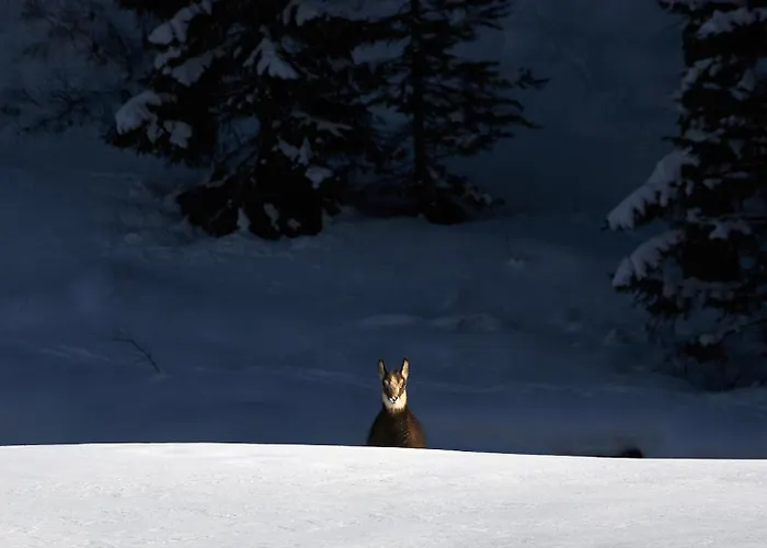 Vakantiehuis Maison Carre Rhêmes-Notre-Dame